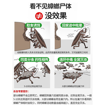 郁康蟑螂药全窝室内端呋虫胺12粒*3盒灭蟑螂贴胶饵除杀驱蟑螂克星家用