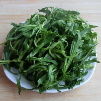 面条阔野菜图片