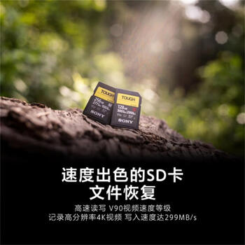 索尼（SONY）256GB SD存储卡 SF-G256T/T1 SF-G系列 TOUGH规格  读取300MB/S写入299MB/S 相机内存卡