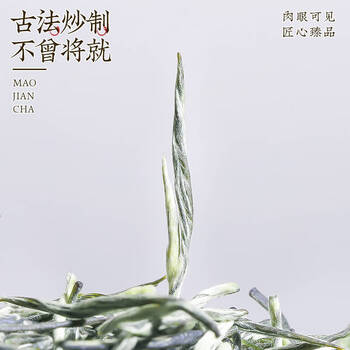 中谷御品茶叶特级信阳原产毛尖茶明前头采嫩芽新茶送礼茶叶礼盒250g
