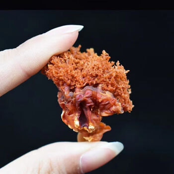 云舵营养10a海参花大片纯淡海参花大个头海参花海参不输海参 大片