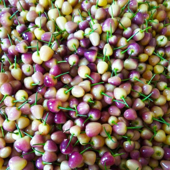 现摘广西七彩椒新鲜小灯笼椒辣椒蔬菜五彩椒泡椒米椒特产 3中果 3斤大