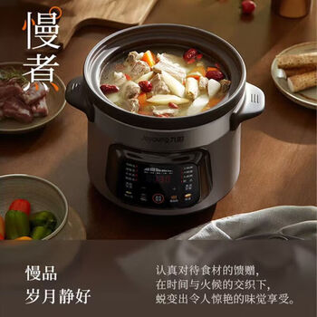 九阳（Joyoung）电炖锅家用智能全自动多功能预约煲汤一锅多用炖肉煮粥辅食电炖煲 DG40K-GD993 4L 350W