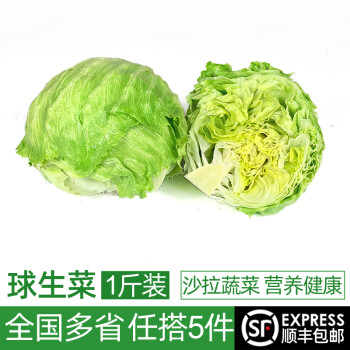 绿食者 新鲜球生菜500g 汉堡用西生菜西餐三明治沙拉蔬菜健康轻食食材