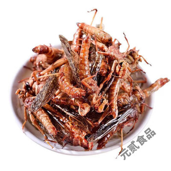 油炸蚂蚱的做法(炸蝗虫是不是连内脏一起吃了)