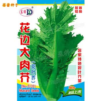花叶芥菜种籽花边芥菜腌制咸菜酸菜三月大菜种子春秋季种蔬菜种孑东绿花边大肉芥菜4克1包 图片价格品牌报价 京东