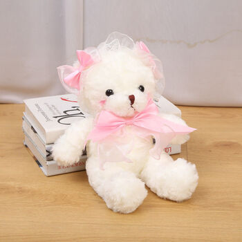 新年礼物小泰迪熊洋娃娃毛绒玩具公仔可爱床上女生小号白色布偶包玩偶