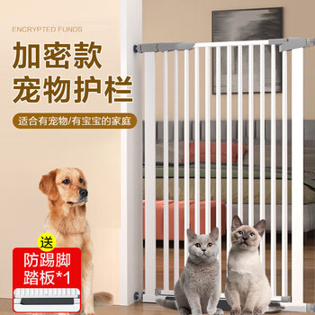 兽兽 
