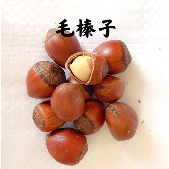 隽辰堂2022东北长白山榛子原味零食坚果特产炒货带壳果仁饱满3斤送