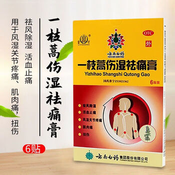 云南白药一枝蒿伤湿祛痛膏6贴伤湿膏祛痛膏风湿关节疼痛祛风除湿 5盒