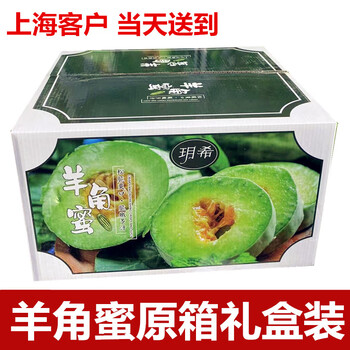 中国香瓜5kgクール便