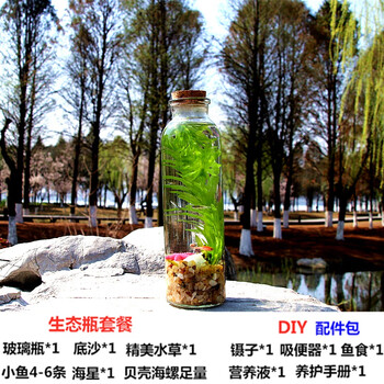 科学生态瓶diy泰国斗鱼生态微景观斑马金丝玻璃鱼缸迷你小型造景小直筒黄金沙小鱼款 图片价格品牌报价 京东 科学生态瓶diy泰国斗鱼生态微景观斑马金丝玻璃鱼缸迷你小型造景小直筒黄金沙小鱼款 图片价格品牌报价 京东