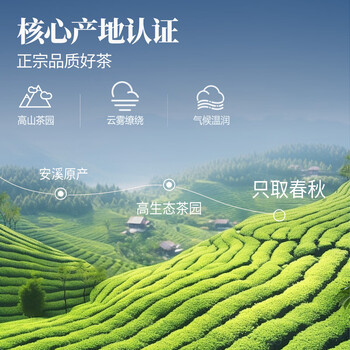 忆江南铁观音茶叶礼盒送人255g端午节父亲节送礼送父母长辈礼物荷韵