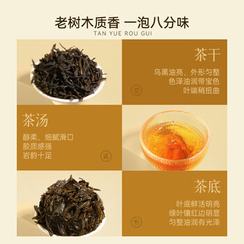 武夷山大红袍探越茶业乌龙茶武夷岩茶象鼻岩肉桂一级250g中火礼盒装茶叶