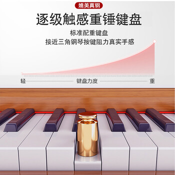 LOUDAN 电钢琴靠谱吗？体验一说真实感受