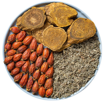 严选好物茵陈蒿汤新鲜茵陈白蒿茶绵茵陈栀子大黄甘草黄柏加减
