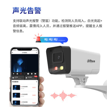 dahua大华4G流量版摄像机200万双光夜视监控声光警戒对讲 不支持WIFI流量需充值 DH-P20A1-4G-ST 3.6mm