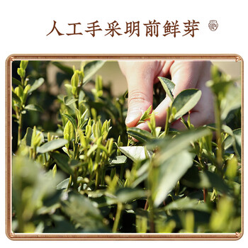 卢正浩绿茶梅字西湖龙井茶特级50g2026新茶上市明前茶叶梅家坞自己喝