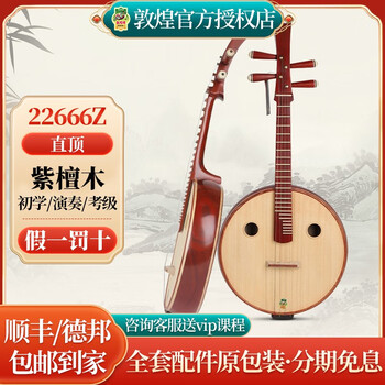 敦煌牌中阮价格报价行情- 京东