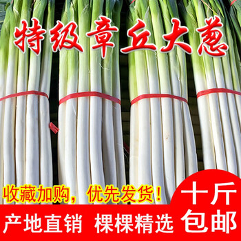 大葱10斤特级新鲜脆甜特产有机正宗礼盒产地直销章丘大葱葱王礼盒8斤
