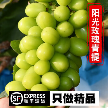 骄瑰 云南阳光玫瑰葡萄香印青提子青葡萄净3斤新鲜水果当季晴王