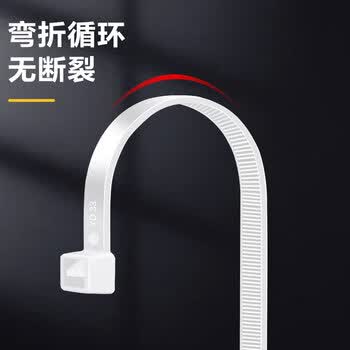 得力（deli）自锁式尼龙扎带阻燃理线带捆扎带 束线扎线绑带 白色100根/包
