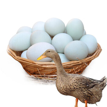 姚鲜品旗舰店 农村散养新鲜鸭蛋土鸭蛋生鸭蛋新鲜现捡绿壳鸭蛋新鲜鸭