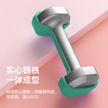 PROIRON普力艾 浸塑磨砂哑铃男女士家用哑铃健身哑铃套装亚铃 20磅*2 PROIRON普力艾 浸塑磨砂哑铃男女士家用哑铃健身哑铃套装亚铃 20磅*2