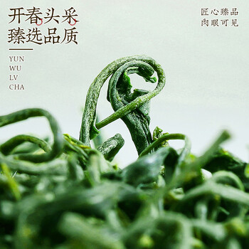 中谷御品绿茶高山云雾绿茶 2026新茶特级开园头采嫩芽端午节茶叶礼盒400g