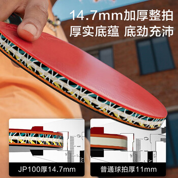 京东京造 雨燕一星乒乓球拍双拍2只装直直对拍训练套装双面反胶1星 直直板