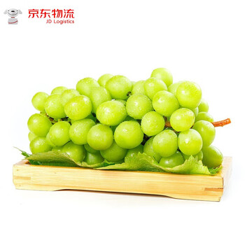 阳光玫瑰葡萄 香印晴王青葡萄青提新鲜当季 750g 一人食