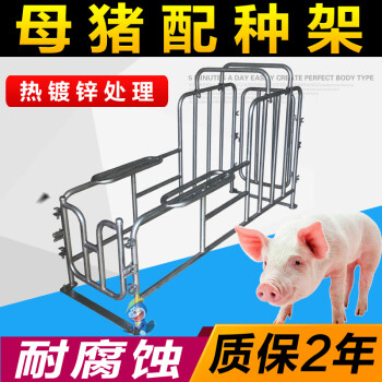 母猪配种架小母猪配种设备猪用矮脚配种器工具夹配猪架子支架神器 热镀锌配种架