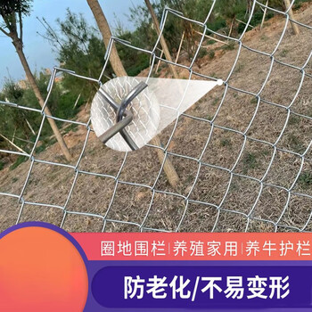 防锈加硬加粗铁丝网鸡鸽兔笼12米高8厘米孔35粗10米长热镀锌拧边款