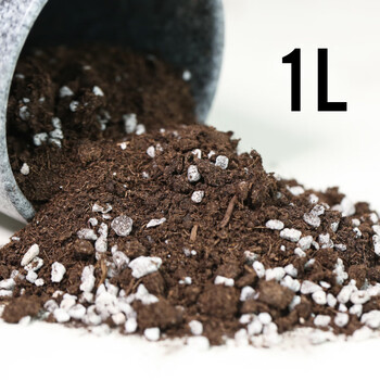 自配多肉土花土多肉营养土泥炭土颗粒土水苔壤种植土椰糠星辰园艺种植土1l 图片价格品牌报价 京东