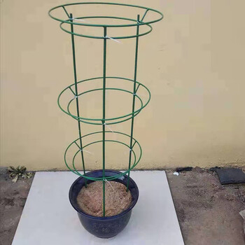 涞思芊品质保证蟹爪兰仙人掌嫁接球兰花架支架攀爬园艺固定架支撑架