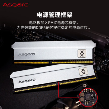 阿斯加特（Asgard）32GB(16Gx2)套 DDR5 6000频 台式机内存条 钛银甲--弗雷【C30】