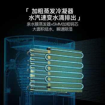 实用指南：如何挑选适合自己的德尔玛DEM-DT16C除湿机？