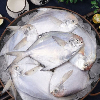 舟山银鲳鱼新鲜白鲳海鲜水产活鱼冰鲜平鱼整箱5斤装每斤34条