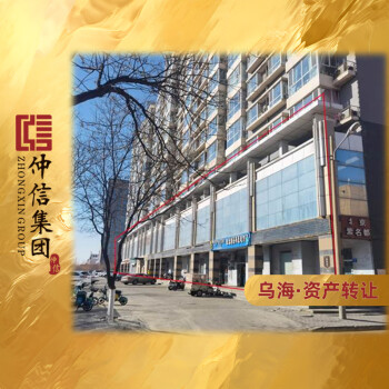 乌海市海勃湾区海北西街北一街坊3号楼的10套商业房产
