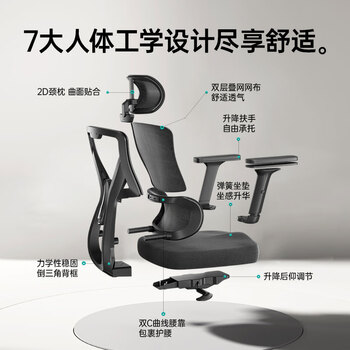 黑白调P5双背款-Ultra人体工学椅电脑椅子办公椅人工力学椅电竞椅无脚托