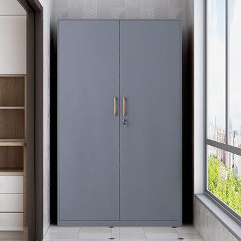 洛克菲勒铁皮衣柜阳台柜杂物柜储物柜带锁内部五层皮纹高2000宽1000深500