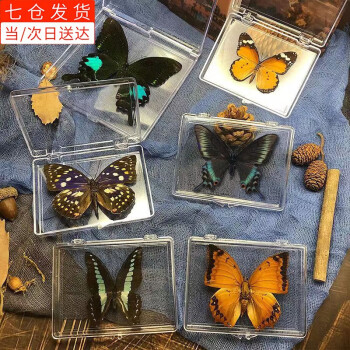 新世界透明标本品牌及商品- 京东