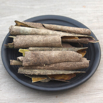 广西新品救必应500g博皮龙胆木皮精选自然树皮自晒