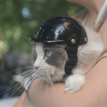 猫咪头盔宠物机车哈雷摩托帽子安全英短狗狗小型犬太阳镜防风配饰