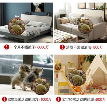 CHEIR 除螨包植物去除螨虫喷贴剂螨立净家用床上被子免洗除螨包10袋装 CHEIR 除螨包植物去除螨虫喷贴剂螨立净家用床上被子免洗除螨包10袋装