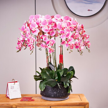 空净 仿真花年宵花蝴蝶兰新中式室内客厅会议桌年花假花盆栽装饰摆件