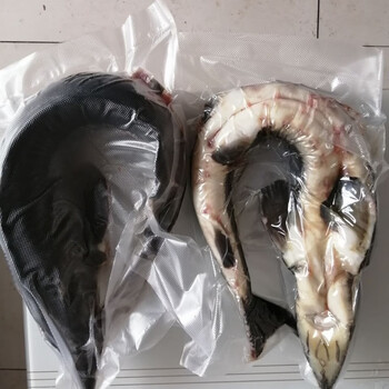 棠鲜生210斤鲟鱼鲟蝗鱼软骨无刺淡水生鲜现杀食用中华水产海鲜整条3斤