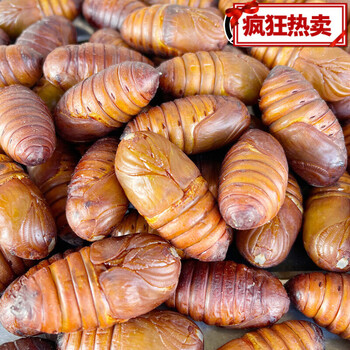 每口知足东北特产新鲜大黄蚕蛹500g柞蚕蛹黄茧蛹蚕小黑蛹每斤约60个2
