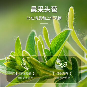 同仁堂金银花煮水正宗无硫带绒毛特优级干花蕾泡水养生茶