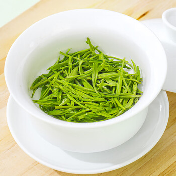 春上早毛尖茶叶特级 新茶绿茶明前春茶嫩芽浓香型茶叶罐装125g